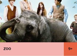 Filem'on ZOO