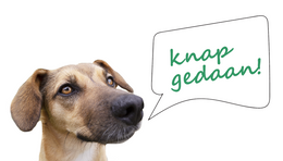 20200710 pinda knap gedaan tekst ballon