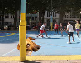 basketbal Nieuwe Graanmarkt