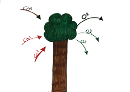 20190220 imelda tekening2 bomen CO2