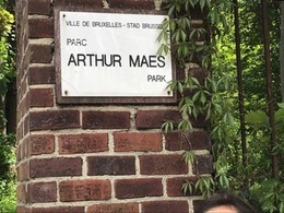 Arthur Maes-park