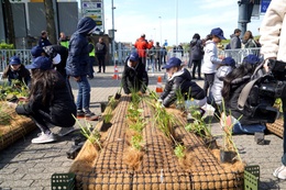 Groeivlot aanplanten.jpg