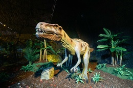 dinosalive-20210616-2_copie.jpg