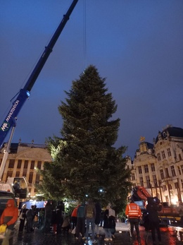 Kerstboom Grote Markt 2022