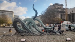 20241202 octopus poelaertplein