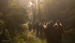 media_large_jnmers-in-de-natuur-ewoutdevos.jpg